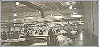 Interior of Bulk Pack Plant in Matamoros
